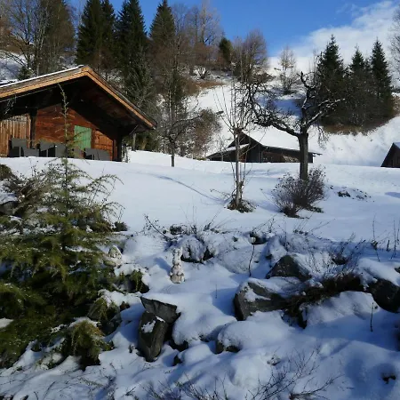 Schwendihus-11 By Interhome