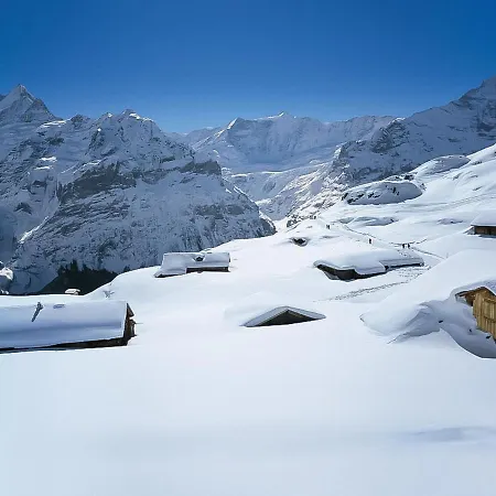 Schwendihus-11 By Interhome Apartment Grindelwald