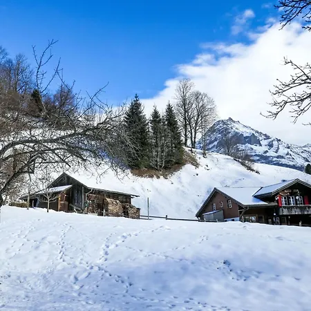 Schwendihus-11 By Interhome * Grindelwald