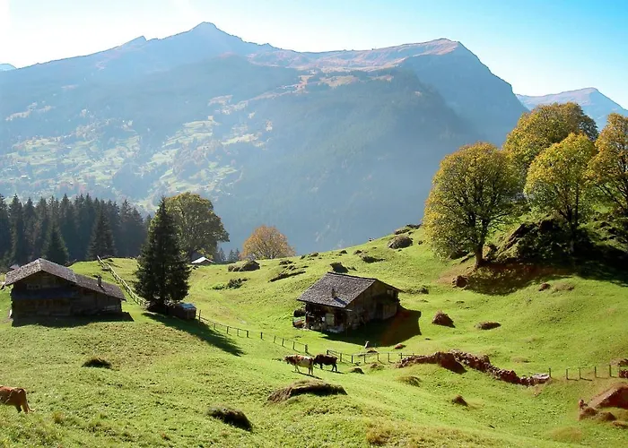 Schwendihus-11 By Interhome