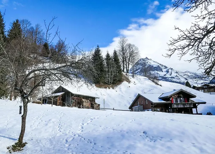 Schwendihus-11 By Interhome * Γκρίντελβαλντ